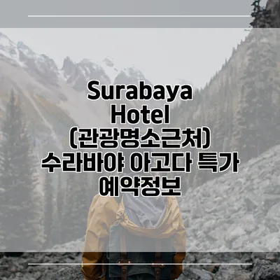 Surabaya Hotel (관광명소근처) 수라바야 아고다 특가 예약정보