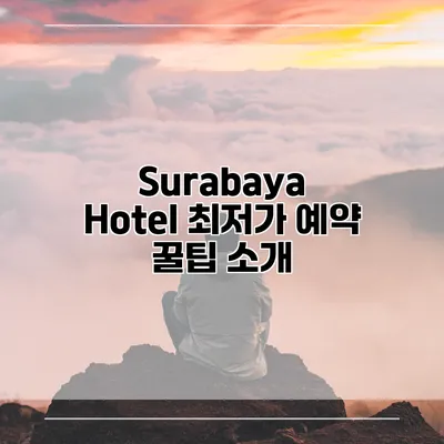 Surabaya Hotel 최저가 예약 꿀팁 소개