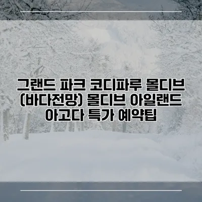 그랜드 파크 코디파루 몰디브 (바다전망) 몰디브 아일랜드 아고다 특가 예약팁