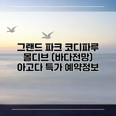 그랜드 파크 코디파루 몰디브 (바다전망) 아고다 특가 예약정보