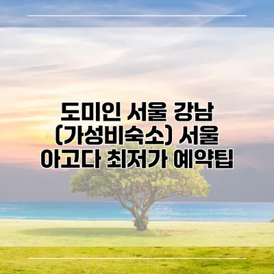 도미인 서울 강남 (가성비숙소) 서울 아고다 최저가 예약팁