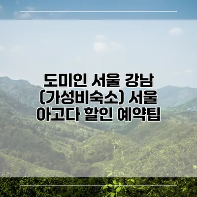 도미인 서울 강남 (가성비숙소) 서울 아고다 할인 예약팁