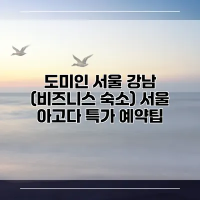 도미인 서울 강남 (비즈니스 숙소) 서울 아고다 특가 예약팁