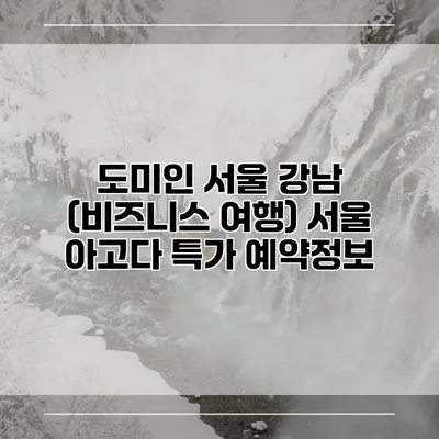도미인 서울 강남 (비즈니스 여행) 서울 아고다 특가 예약정보