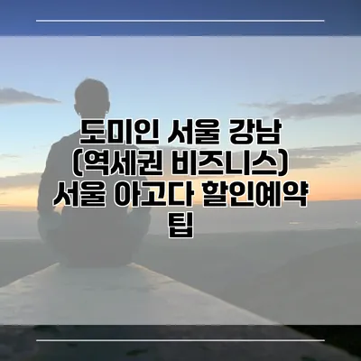 도미인 서울 강남 (역세권 비즈니스) 서울 아고다 할인예약 팁