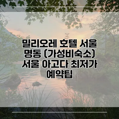 밀리오레 호텔 서울 명동 (가성비숙소) 서울 아고다 최저가 예약팁