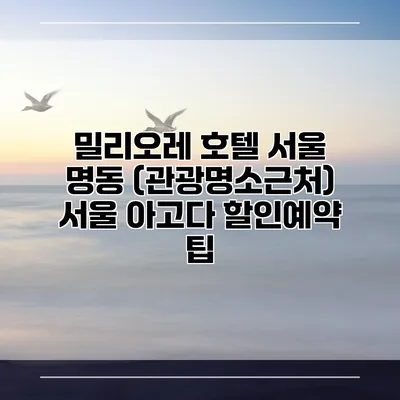 밀리오레 호텔 서울 명동 (관광명소근처) 서울 아고다 할인예약 팁