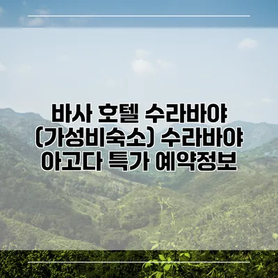 바사 호텔 수라바야 (가성비숙소) 수라바야 아고다 특가 예약정보