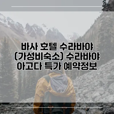 바사 호텔 수라바야 (가성비숙소) 수라바야 아고다 특가 예약정보