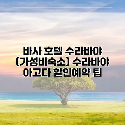 바사 호텔 수라바야 (가성비숙소) 수라바야 아고다 할인예약 팁