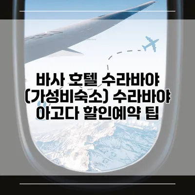 바사 호텔 수라바야 (가성비숙소) 수라바야 아고다 할인예약 팁