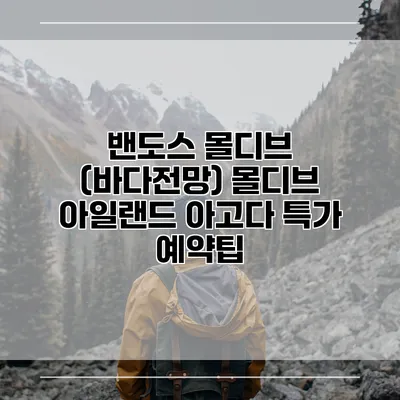 밴도스 몰디브 (바다전망) 몰디브 아일랜드 아고다 특가 예약팁