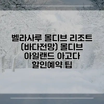 벨라사루 몰디브 리조트 (바다전망) 몰디브 아일랜드 아고다 할인예약 팁