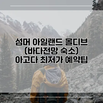 섬머 아일랜드 몰디브 (바다전망 숙소) 아고다 최저가 예약팁