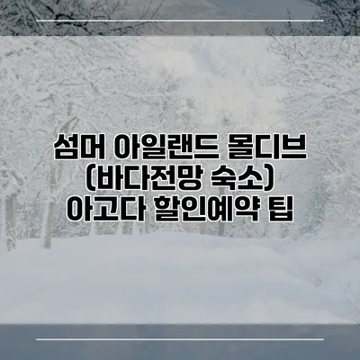 섬머 아일랜드 몰디브 (바다전망 숙소) 아고다 할인예약 팁