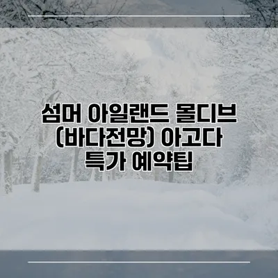 섬머 아일랜드 몰디브 (바다전망) 아고다 특가 예약팁