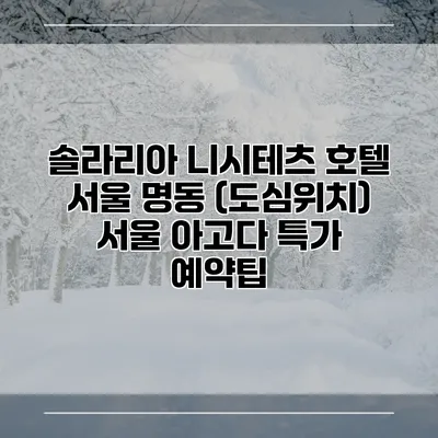 솔라리아 니시테츠 호텔 서울 명동 (도심위치) 서울 아고다 특가 예약팁