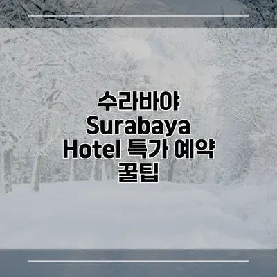 수라바야 Surabaya Hotel 특가 예약 꿀팁