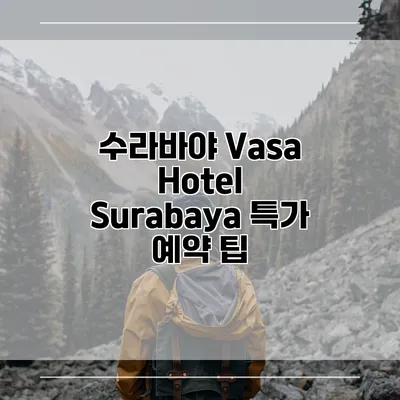 수라바야 Vasa Hotel Surabaya 특가 예약 팁