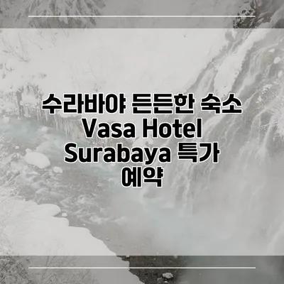수라바야 든든한 숙소 Vasa Hotel Surabaya 특가 예약