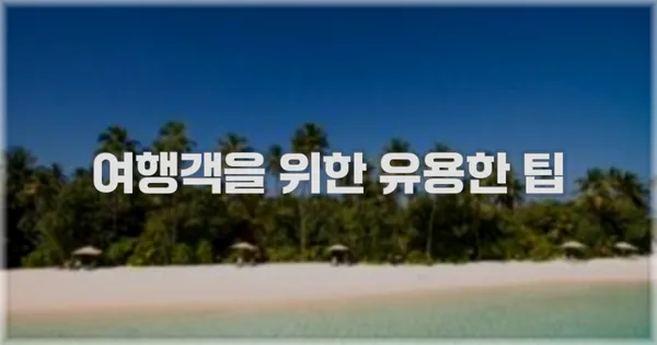 여행객을 위한 유용한 팁