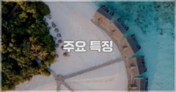 ✨ 주요 특징