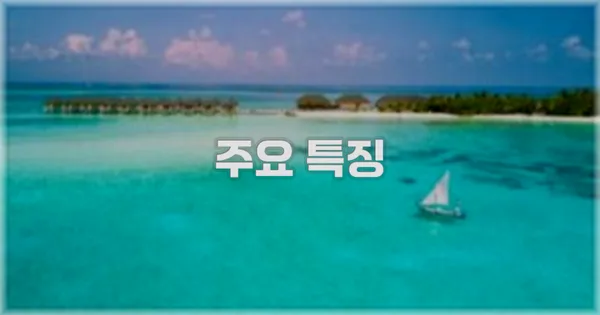 ✨ 주요 특징