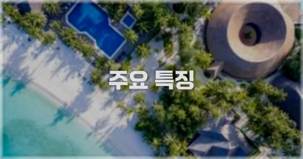 ✨ 주요 특징