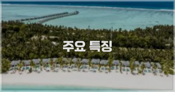 ✨ 주요 특징