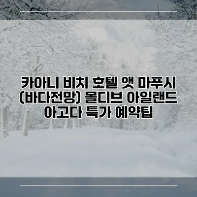 카아니 비치 호텔 앳 마푸시 (바다전망) 몰디브 아일랜드 아고다 특가 예약팁