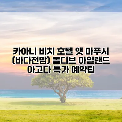 카아니 비치 호텔 앳 마푸시 (바다전망) 몰디브 아일랜드 아고다 특가 예약팁
