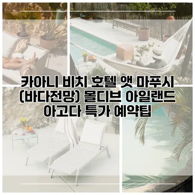카아니 비치 호텔 앳 마푸시 (바다전망) 몰디브 아일랜드 아고다 특가 예약팁
