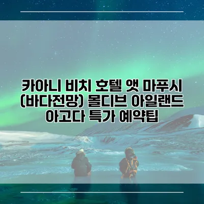카아니 비치 호텔 앳 마푸시 (바다전망) 몰디브 아일랜드 아고다 특가 예약팁