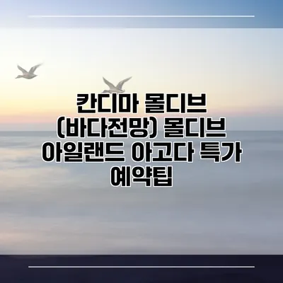 칸디마 몰디브 (바다전망) 몰디브 아일랜드 아고다 특가 예약팁