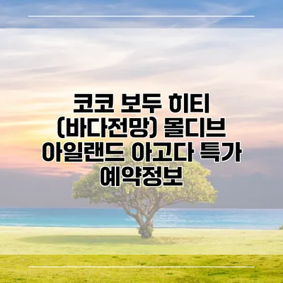 코코 보두 히티 (바다전망) 몰디브 아일랜드 아고다 특가 예약정보
