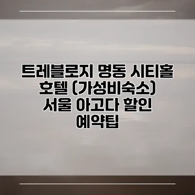 트레블로지 명동 시티홀 호텔 (가성비숙소) 서울 아고다 할인 예약팁