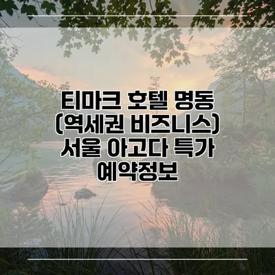 티마크 호텔 명동 (역세권 비즈니스) 서울 아고다 특가 예약정보