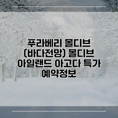 푸라베리 몰디브 (바다전망) 몰디브 아일랜드 아고다 특가 예약정보