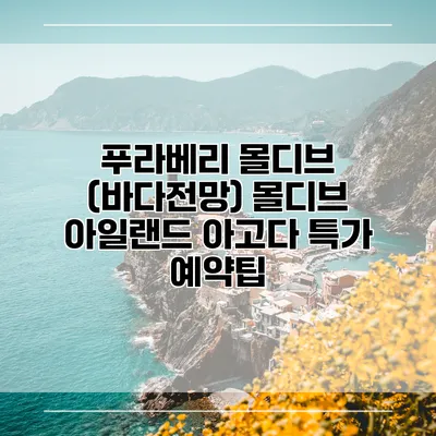 푸라베리 몰디브 (바다전망) 몰디브 아일랜드 아고다 특가 예약팁