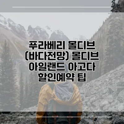 푸라베리 몰디브 (바다전망) 몰디브 아일랜드 아고다 할인예약 팁