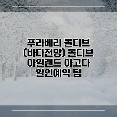 푸라베리 몰디브 (바다전망) 몰디브 아일랜드 아고다 할인예약 팁