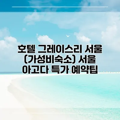호텔 그레이스리 서울 (가성비숙소) 서울 아고다 특가 예약팁