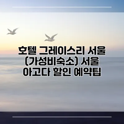 호텔 그레이스리 서울 (가성비숙소) 서울 아고다 할인 예약팁
