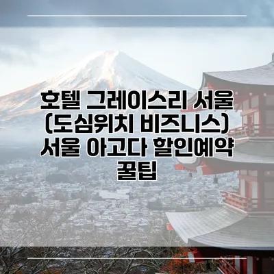 호텔 그레이스리 서울 (도심위치 비즈니스) 서울 아고다 할인예약 꿀팁