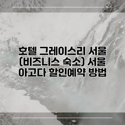 호텔 그레이스리 서울 (비즈니스 숙소) 서울 아고다 할인예약 방법