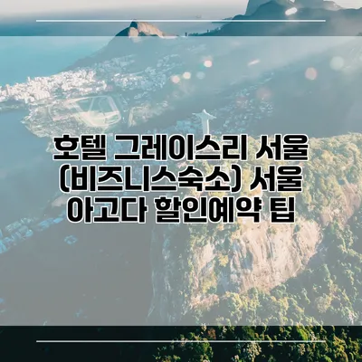 호텔 그레이스리 서울 (비즈니스숙소) 서울 아고다 할인예약 팁