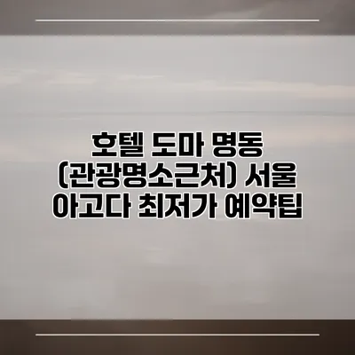 호텔 도마 명동 (관광명소근처) 서울 아고다 최저가 예약팁