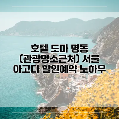 호텔 도마 명동 (관광명소근처) 서울 아고다 할인예약 노하우