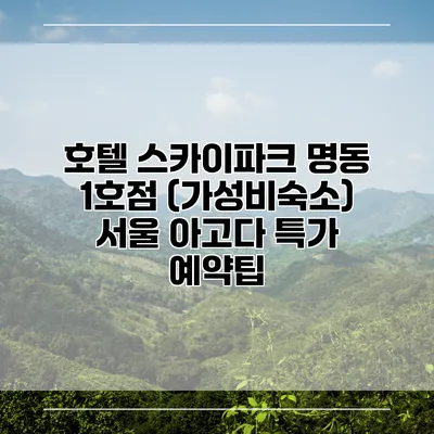 호텔 스카이파크 명동 1호점 (가성비숙소) 서울 아고다 특가 예약팁
