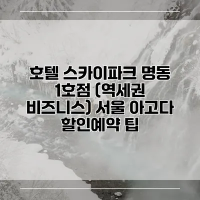 호텔 스카이파크 명동 1호점 (역세권 비즈니스) 서울 아고다 할인예약 팁